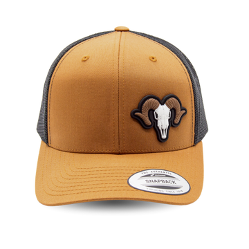 Bighorn Sheep - Trucker