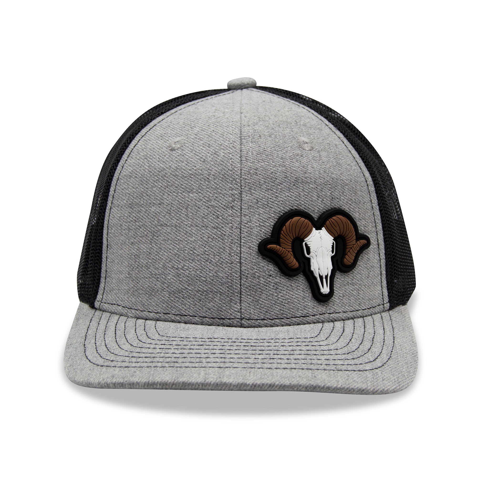 Bighorn Sheep