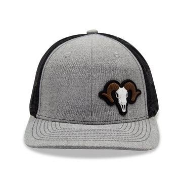 Bighorn Sheep