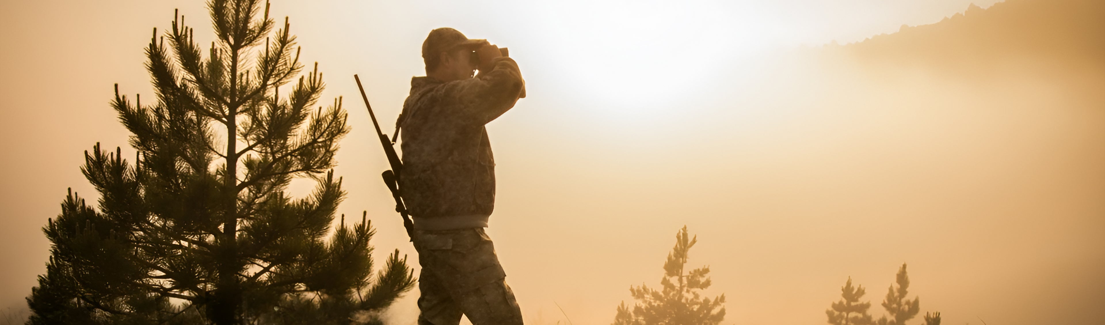 slider image slider_item_P4z4J9